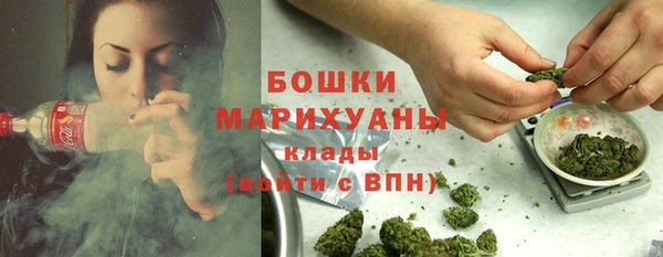 PSILOCYBIN Армянск