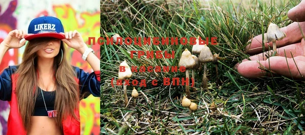 PSILOCYBIN Армянск
