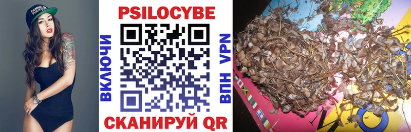 купить закладку  Пустошка  Псилоцибиновые грибы MAGIC MUSHROOMS 
